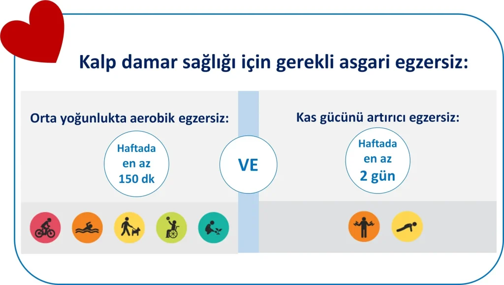 Sağlıklı kalp sağlığı: Beslenme ve egzersizle riskleri azalt