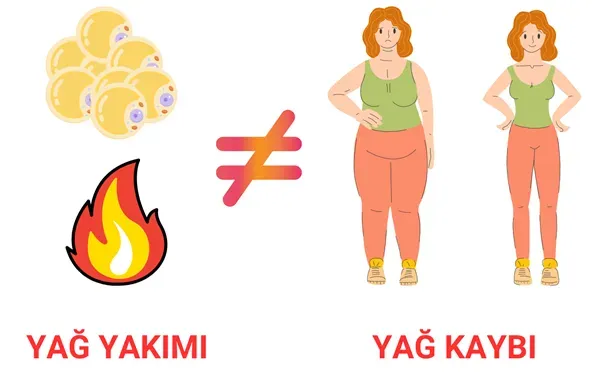 Sporla Zayıflama mı, Yağ Yakımı mı? Doğru Hedef Belirleme